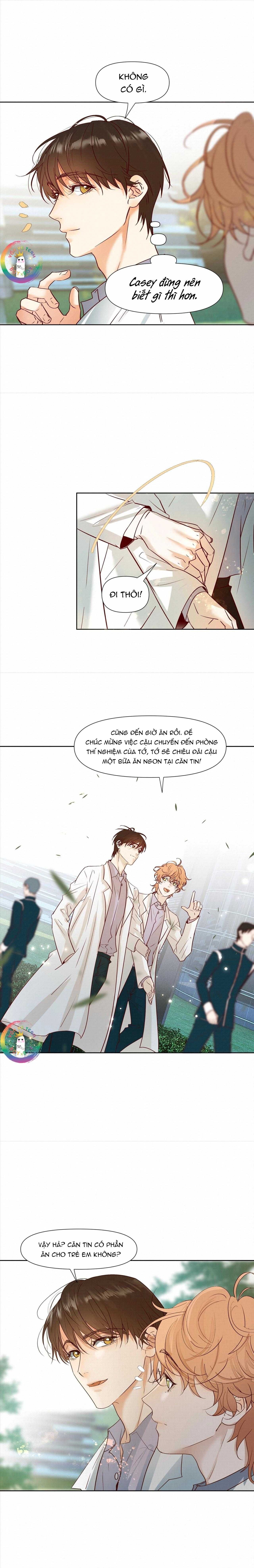 Trỗi Dậy Từ Tro Tàn Chapter 44 - Trang 11