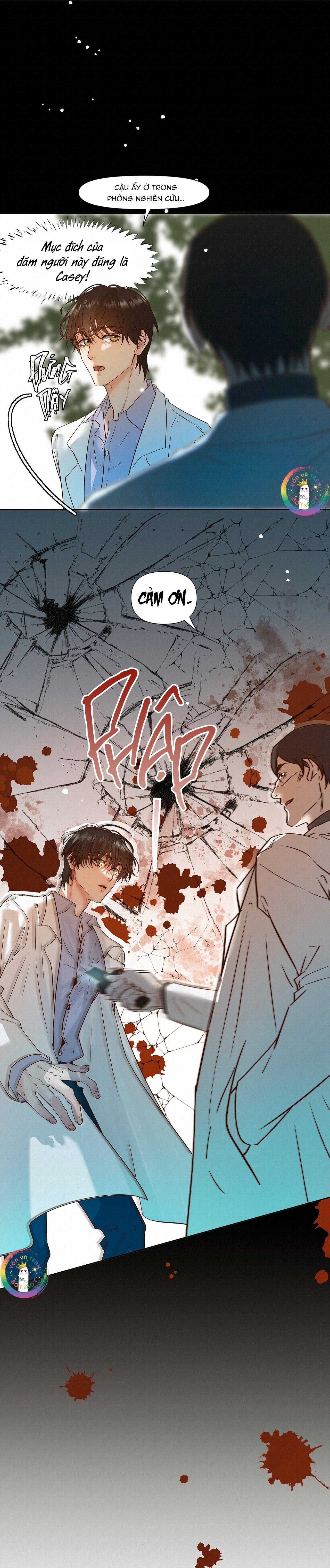 Trỗi Dậy Từ Tro Tàn Chapter 49 - Trang 16