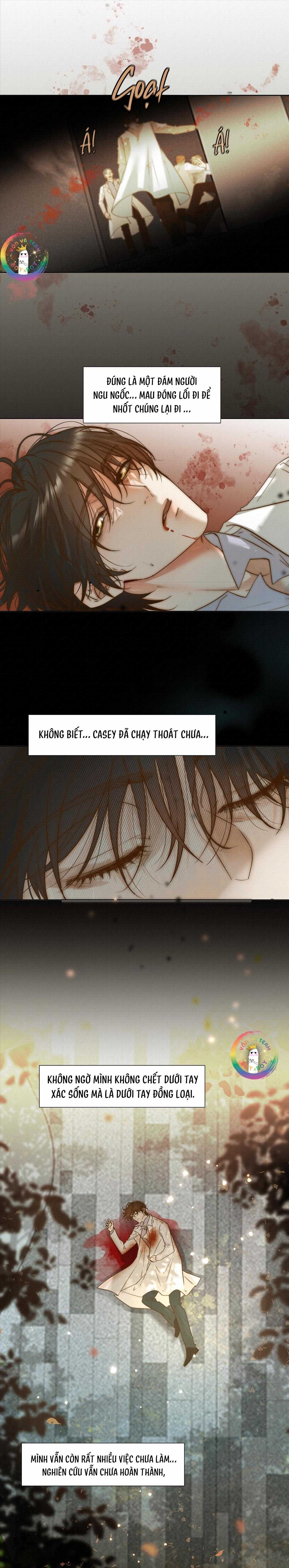 Trỗi Dậy Từ Tro Tàn Chapter 50 - Trang 5