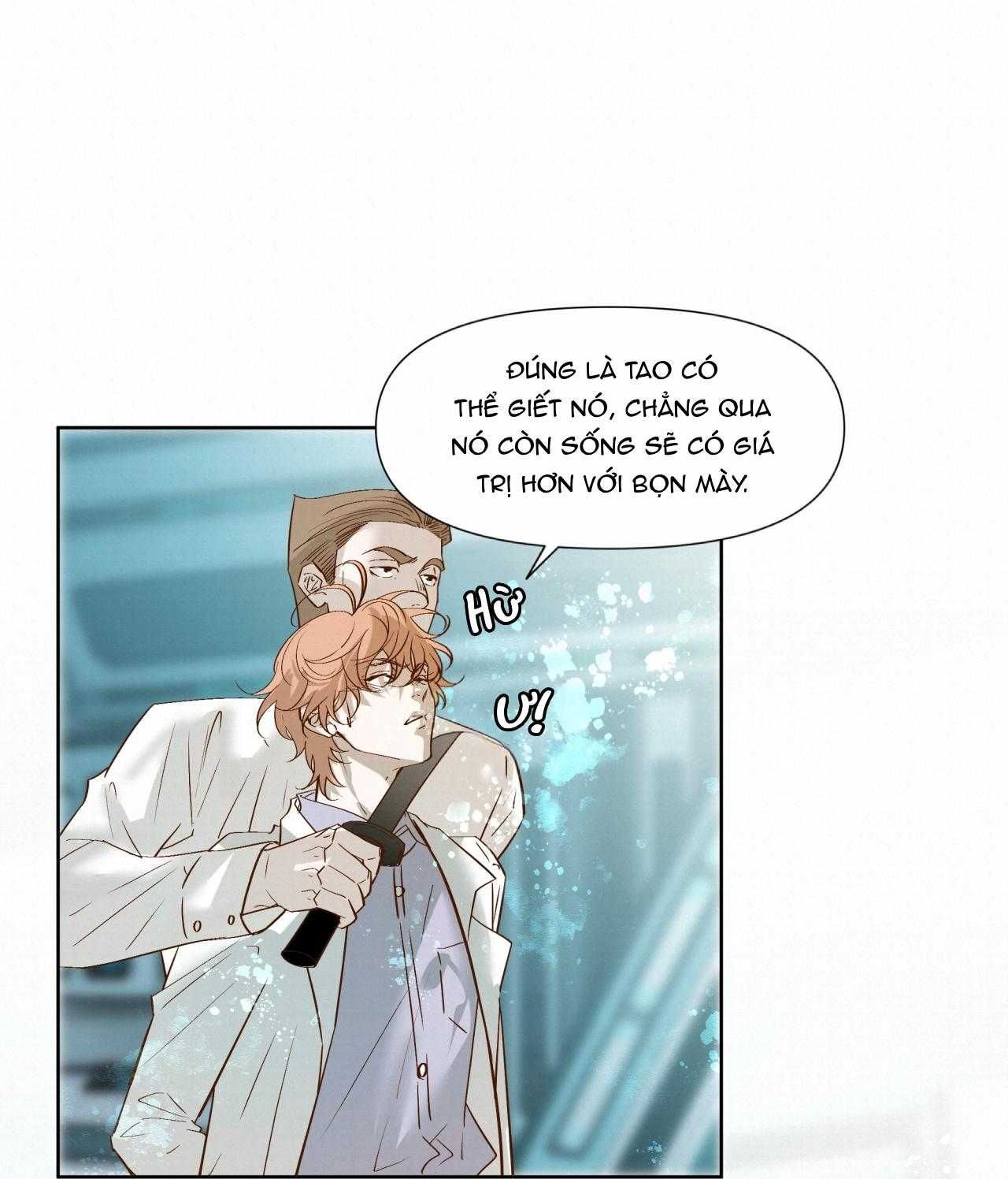 Trỗi Dậy Từ Tro Tàn Chapter 51 - Trang 11
