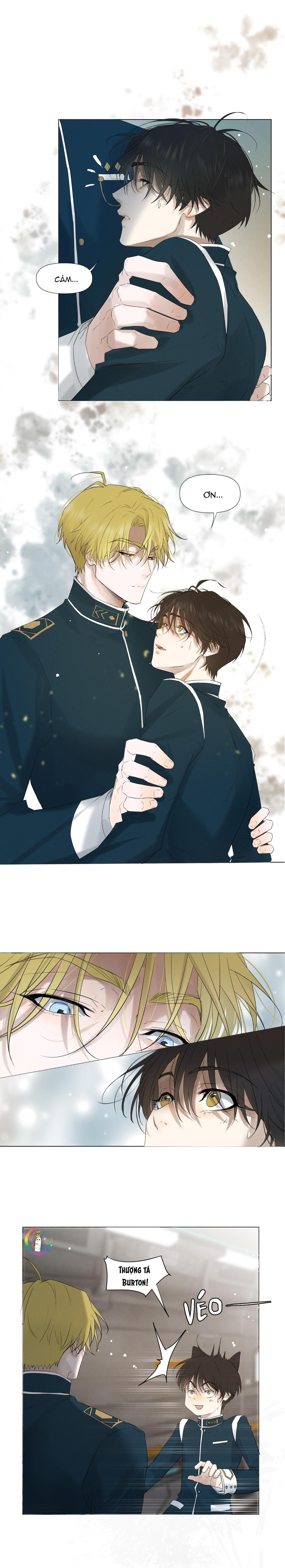 Trỗi Dậy Từ Tro Tàn Chapter 6 - Trang 13