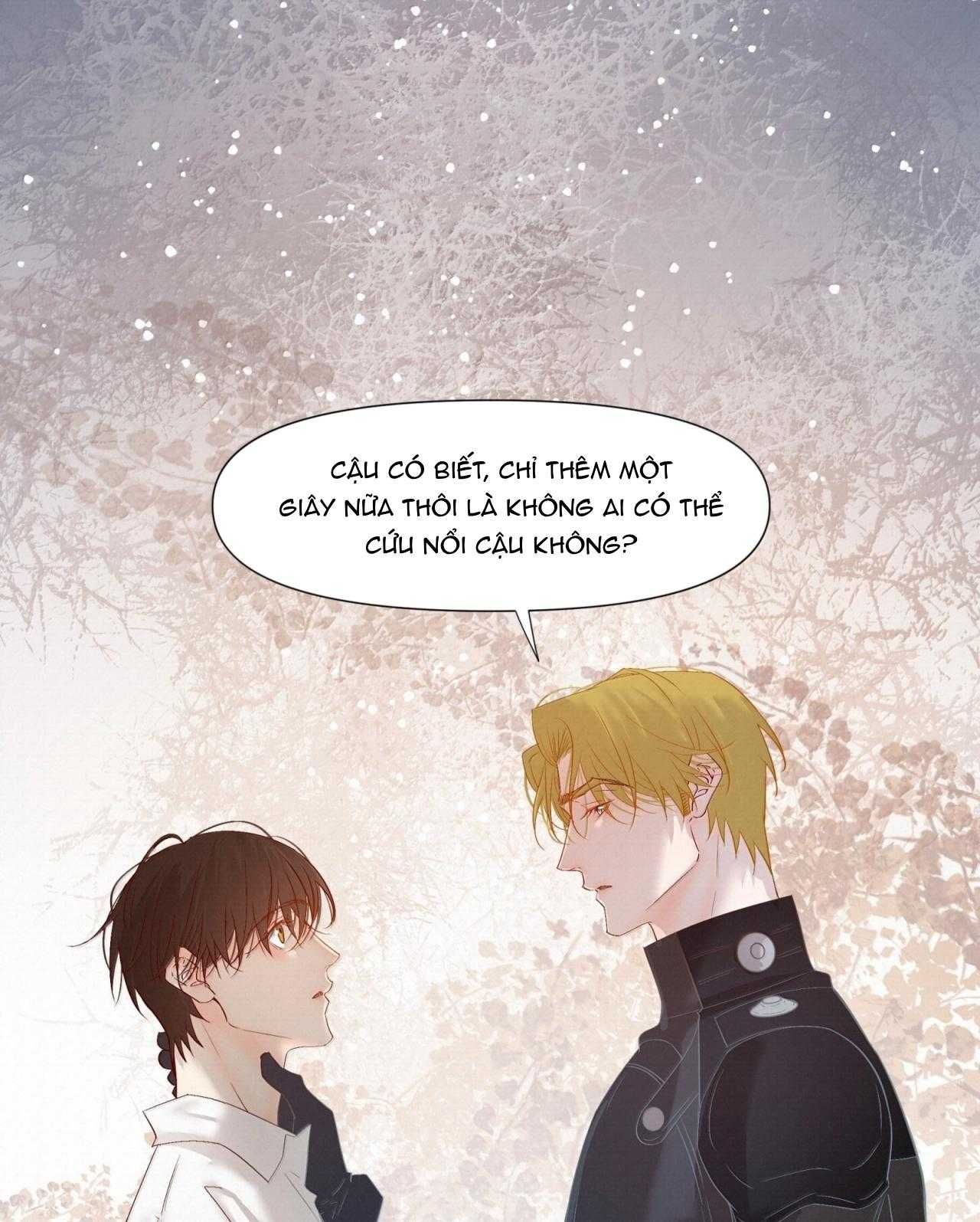 Trỗi Dậy Từ Tro Tàn Chapter 64 - Trang 14