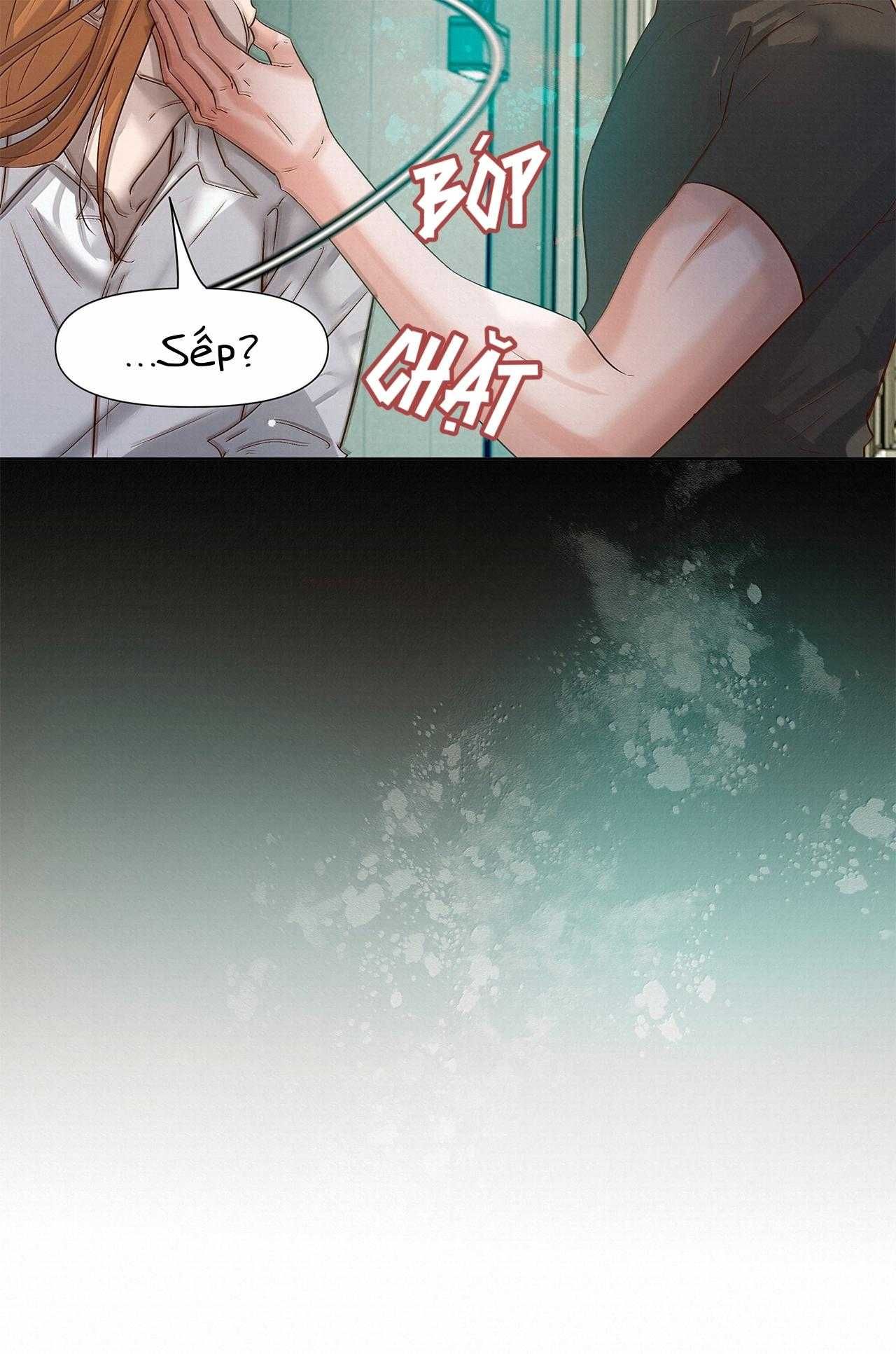 Trỗi Dậy Từ Tro Tàn Chapter 87 - Trang 11