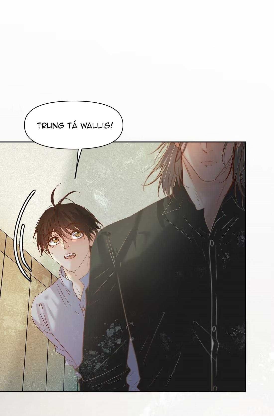 Trỗi Dậy Từ Tro Tàn Chapter 96 - Trang 11