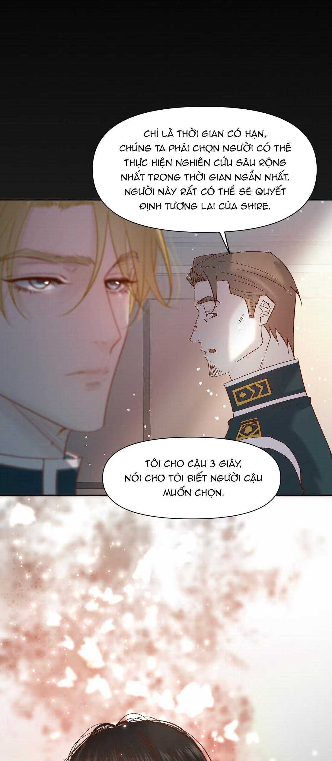 Trỗi Dậy Từ Tro Tàn Chapter 96 - Trang 41