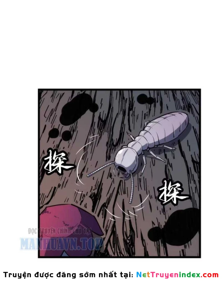 Trùng Sinh Bắt Đầu Từ Cây Nấm Chapter 13 - Trang 17