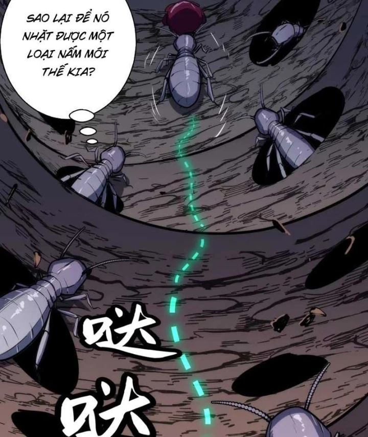 Trùng Sinh Bắt Đầu Từ Cây Nấm Chapter 13 - Trang 23
