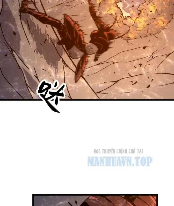 Trùng Sinh Bắt Đầu Từ Cây Nấm Chapter 20 - Trang 28