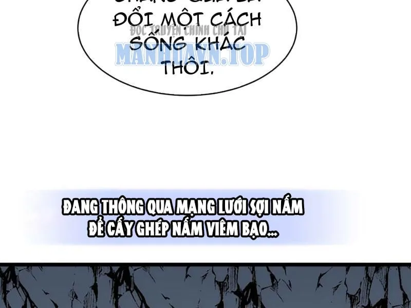 Trùng Sinh Bắt Đầu Từ Cây Nấm Chapter 5 - Trang 13