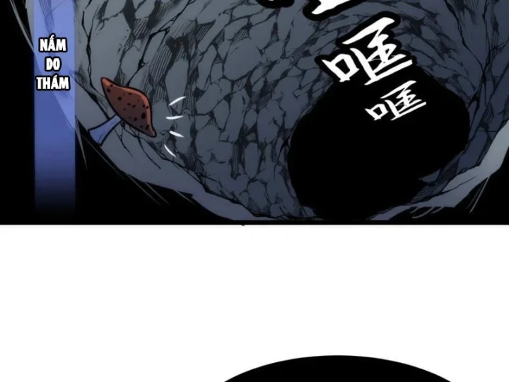 Trùng Sinh Bắt Đầu Từ Cây Nấm Chapter 8 - Trang 13