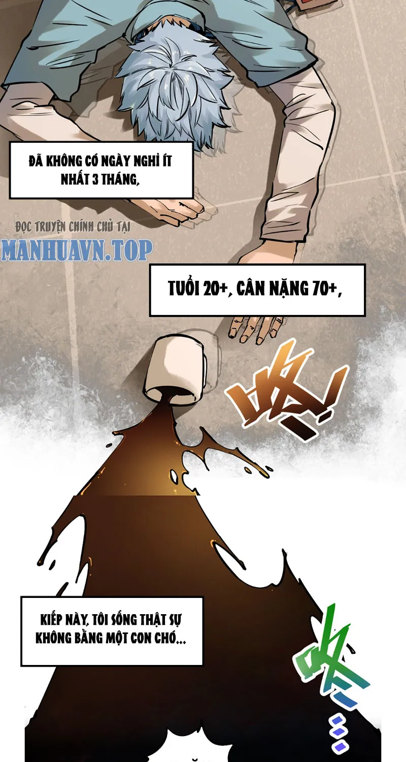 Trùng Sinh Thành Chó, Ta Thành Yêu Tôn Một Phương Chapter 1 - Trang 4