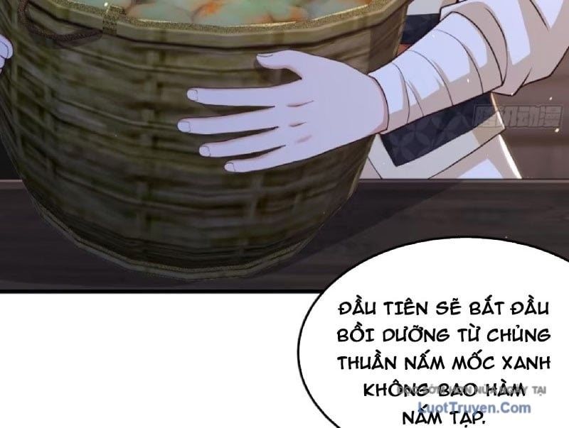 Trùng Sinh Vào Thế Giới Thủy Hử Trở Thành Võ Đại Lang Mạnh Nhất Chapter 37 - Trang 5