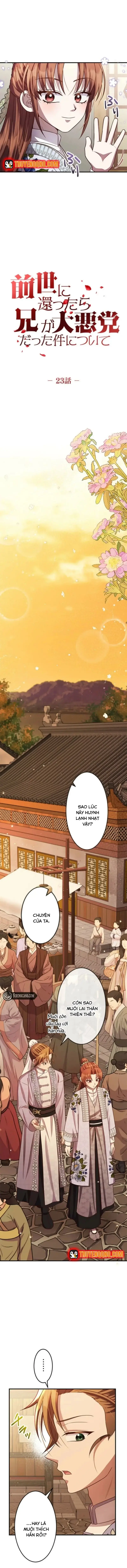 Trùng Sinh Về Kiếp Trước, Ta Phát Hiện Anh Trai Là Kẻ Đại Ác Nhân Chapter 23 - Trang 7