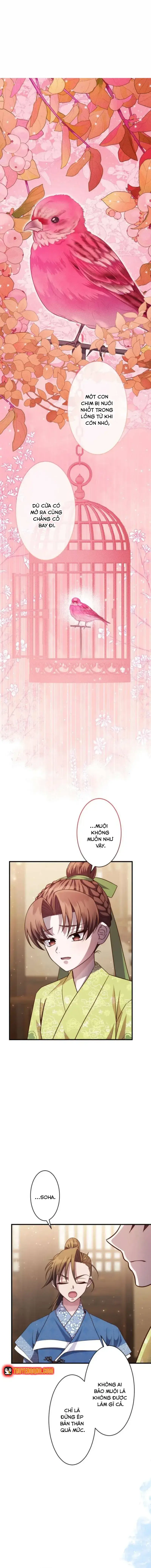 Trùng Sinh Về Kiếp Trước, Ta Phát Hiện Anh Trai Là Kẻ Đại Ác Nhân Chapter 9 - Trang 4
