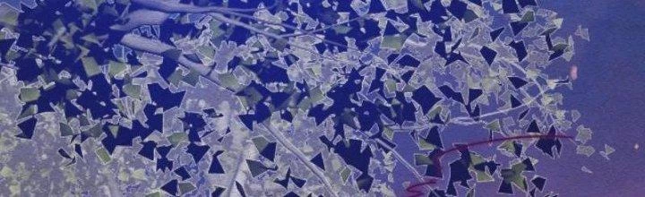 Trường Sinh Đạo Chapter 79 - Trang 18