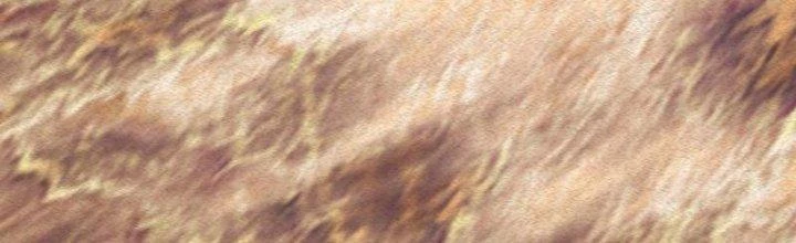 Trường Sinh Đạo Chapter 82 - Trang 18