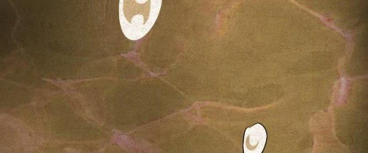 Trường Sinh Đạo Chapter 83 - Trang 28