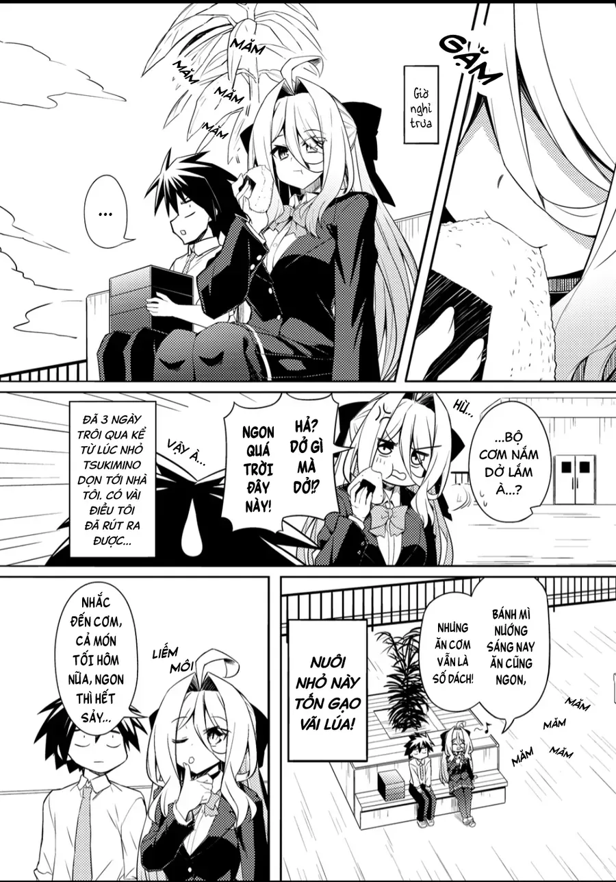 Tsukimino Karma Wa Akumade Boku No Pet Nanoni Chapter 3 - Trang 8