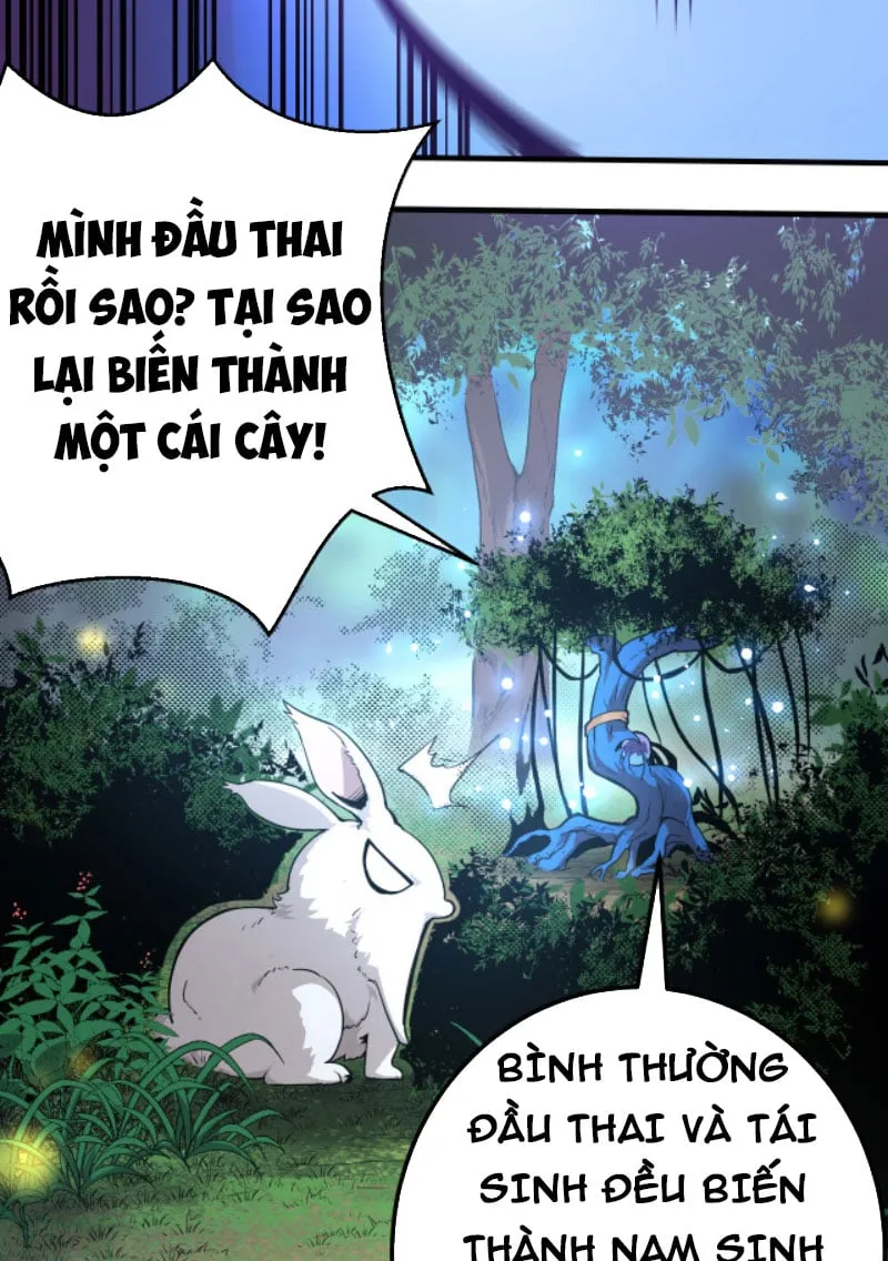 Từ Cây Cổ Thụ Bắt Đầu Tiến Hóa Chapter 1 - Trang 23