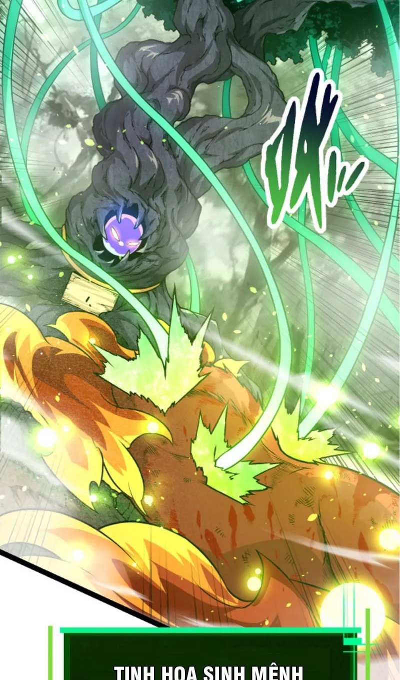 Từ Cây Cổ Thụ Bắt Đầu Tiến Hóa Chapter 10 - Trang 12