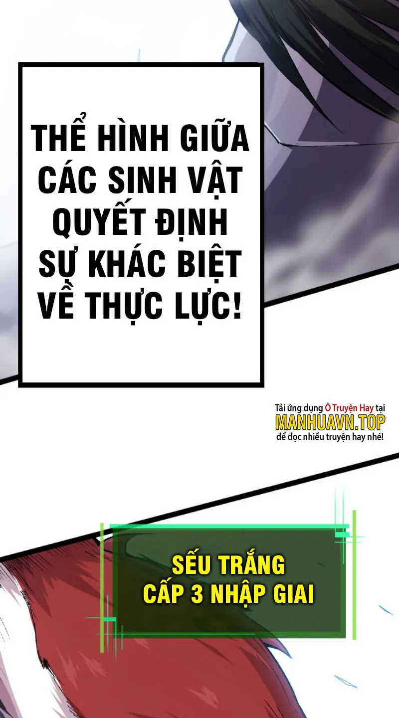 Từ Cây Cổ Thụ Bắt Đầu Tiến Hóa Chapter 11 - Trang 31