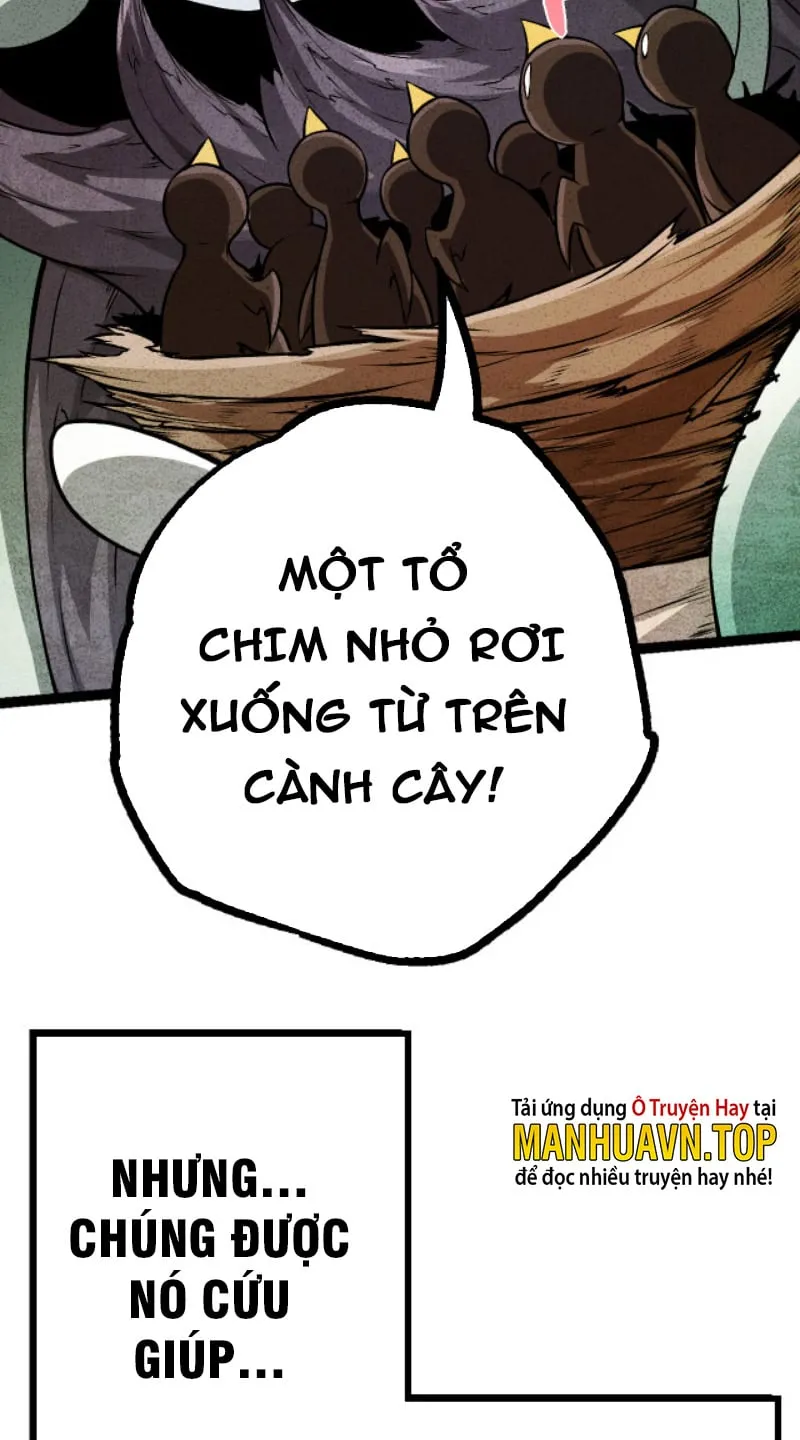Từ Cây Cổ Thụ Bắt Đầu Tiến Hóa Chapter 12 - Trang 23