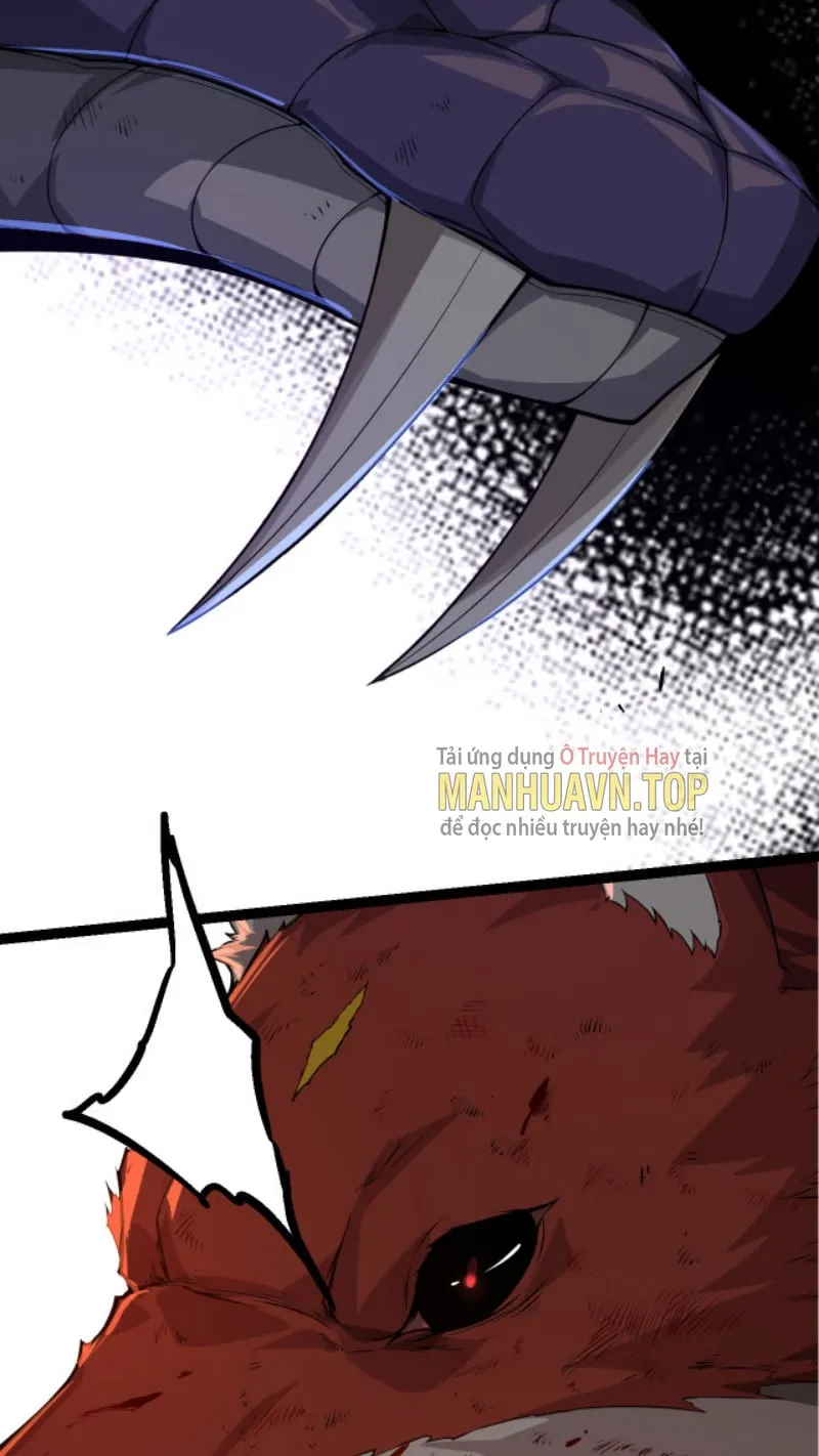 Từ Cây Cổ Thụ Bắt Đầu Tiến Hóa Chapter 12 - Trang 9