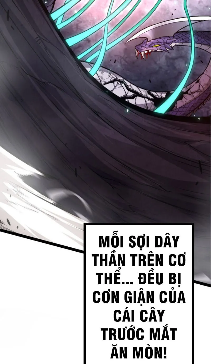 Từ Cây Cổ Thụ Bắt Đầu Tiến Hóa Chapter 13 - Trang 17