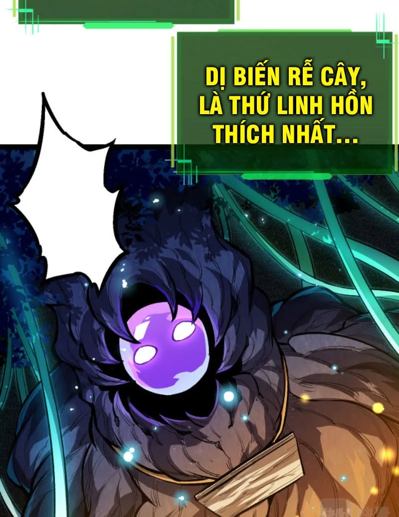 Từ Cây Cổ Thụ Bắt Đầu Tiến Hóa Chapter 15 - Trang 20