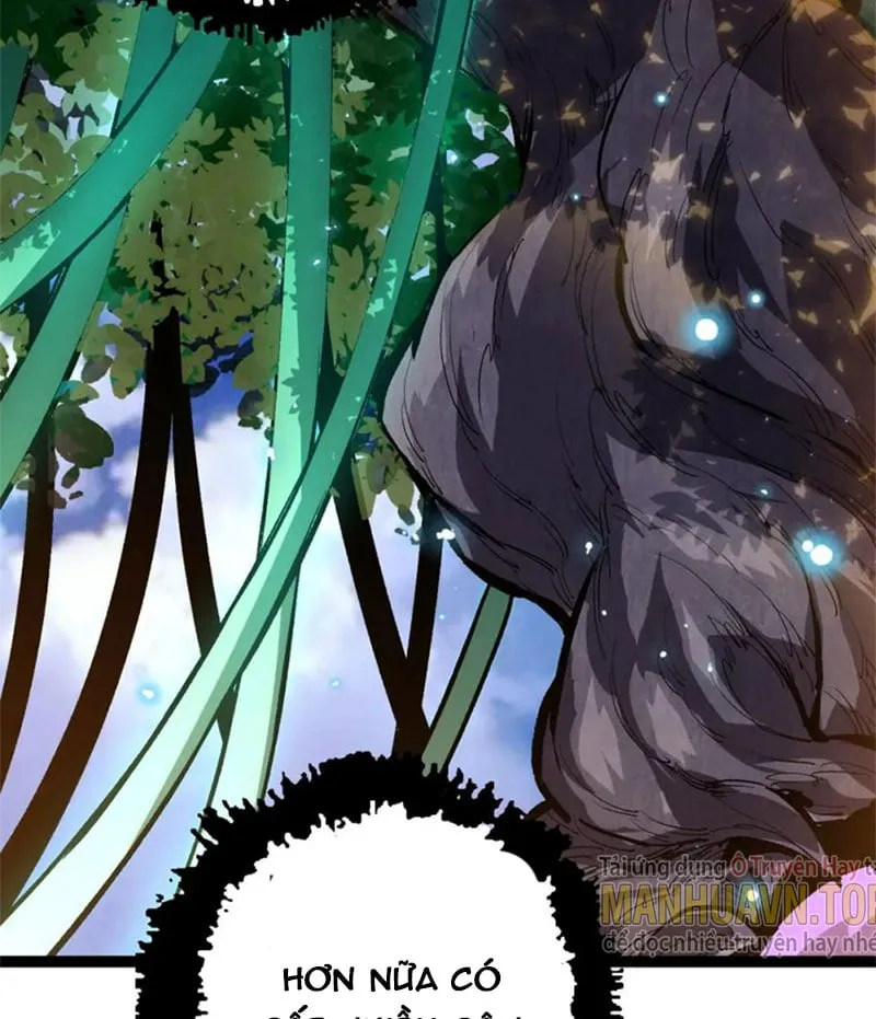 Từ Cây Cổ Thụ Bắt Đầu Tiến Hóa Chapter 16 - Trang 30