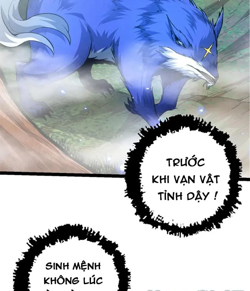 Từ Cây Cổ Thụ Bắt Đầu Tiến Hóa Chapter 16 - Trang 39
