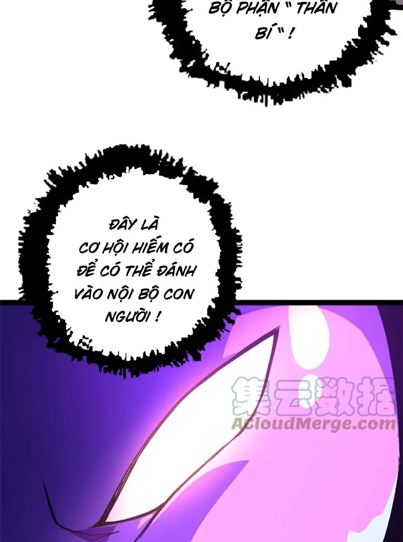 Từ Cây Cổ Thụ Bắt Đầu Tiến Hóa Chapter 19 - Trang 25