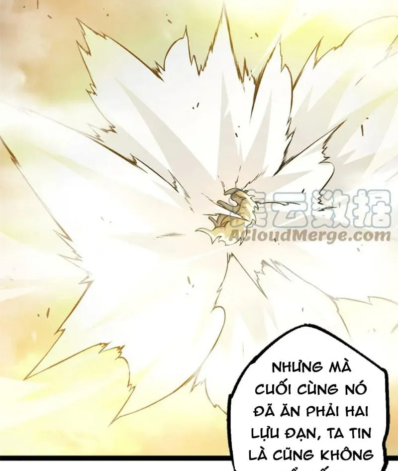 Từ Cây Cổ Thụ Bắt Đầu Tiến Hóa Chapter 19 - Trang 5