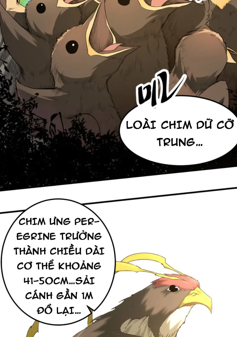 Từ Cây Cổ Thụ Bắt Đầu Tiến Hóa Chapter 2 - Trang 8