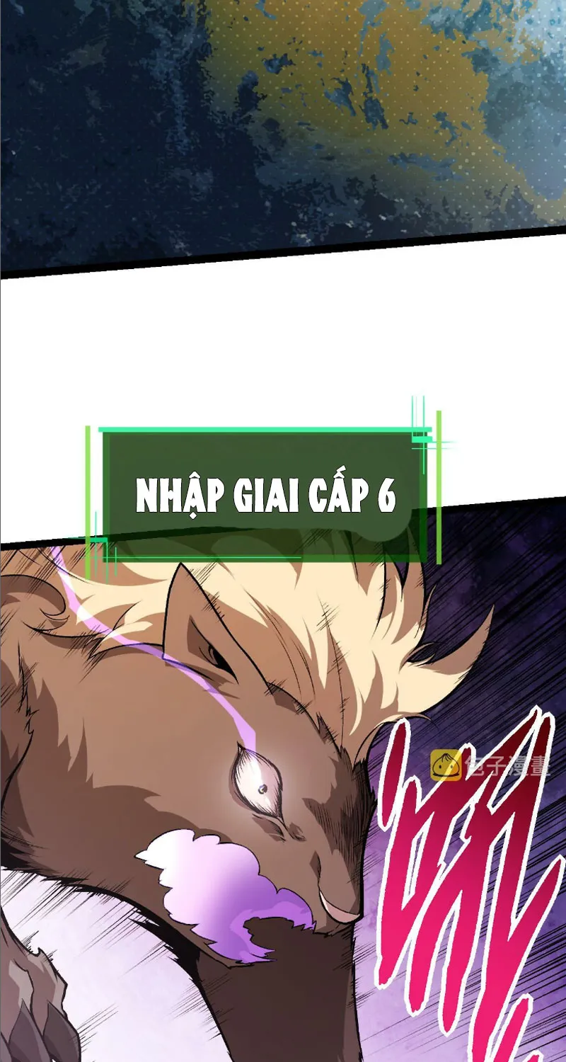 Từ Cây Cổ Thụ Bắt Đầu Tiến Hóa Chapter 20 - Trang 24