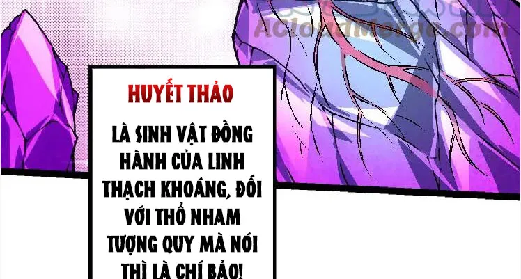 Từ Cây Cổ Thụ Bắt Đầu Tiến Hóa Chapter 25 - Trang 19