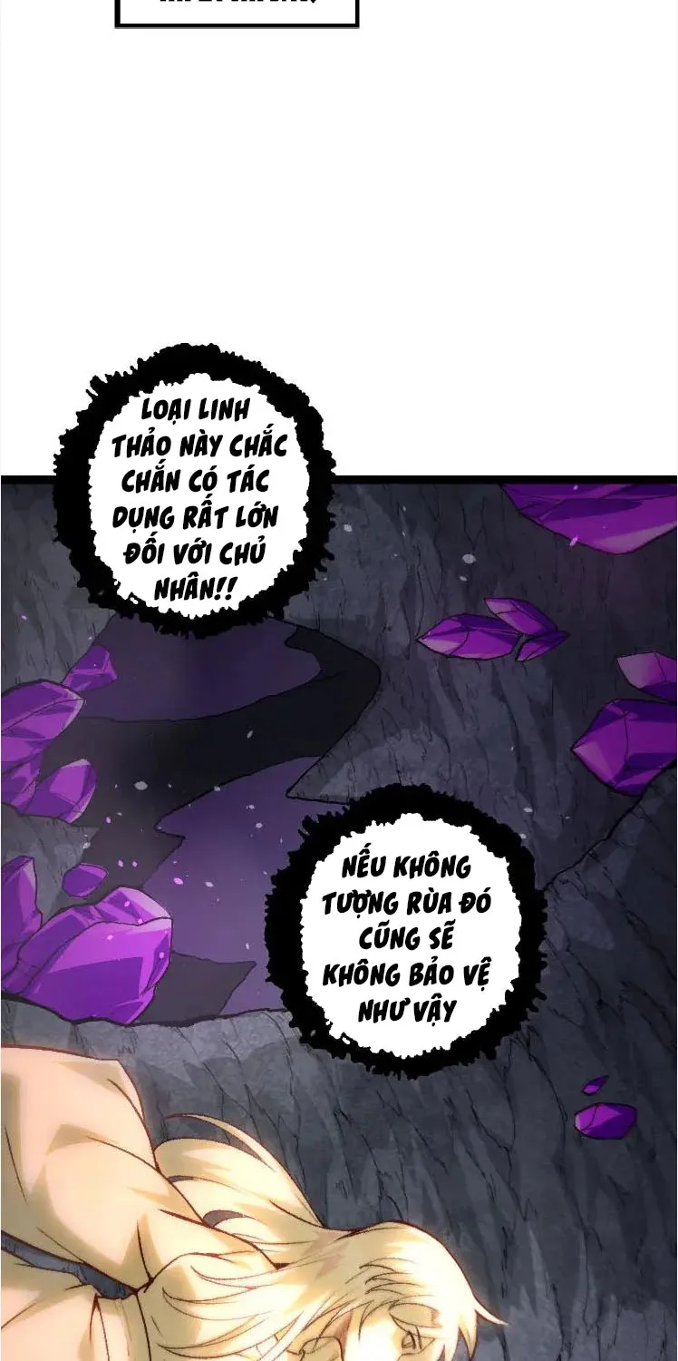Từ Cây Cổ Thụ Bắt Đầu Tiến Hóa Chapter 25 - Trang 20