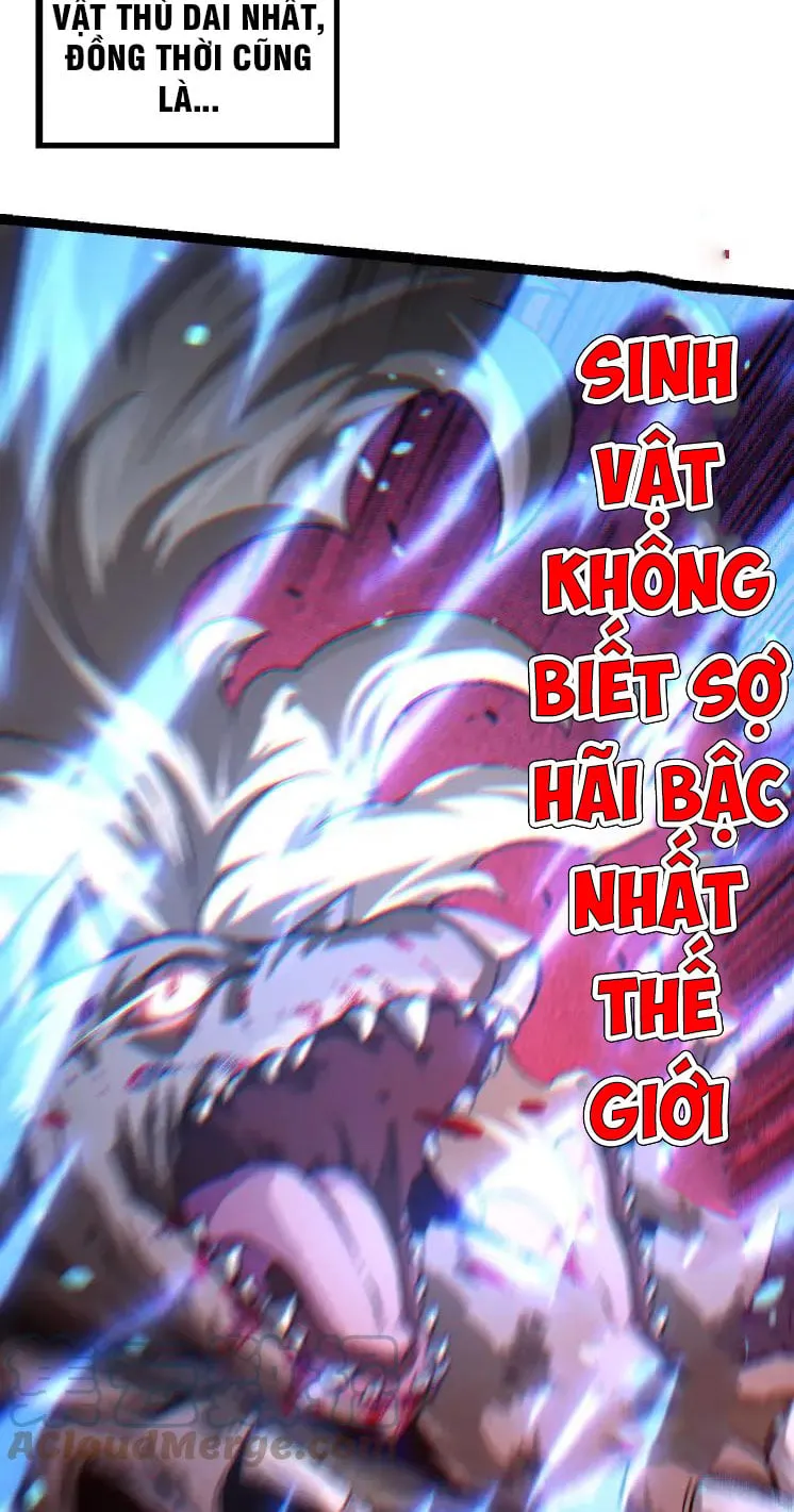 Từ Cây Cổ Thụ Bắt Đầu Tiến Hóa Chapter 26 - Trang 3