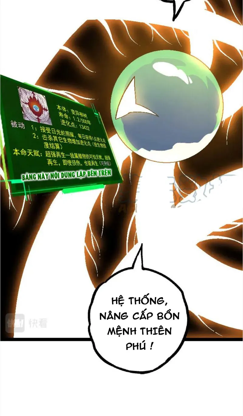 Từ Cây Cổ Thụ Bắt Đầu Tiến Hóa Chapter 28 - Trang 26