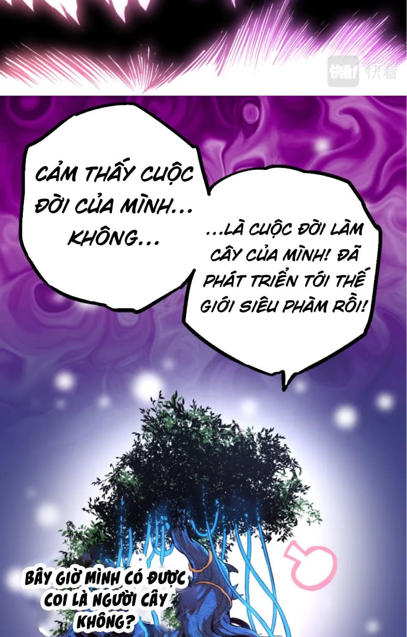 Từ Cây Cổ Thụ Bắt Đầu Tiến Hóa Chapter 3 - Trang 40
