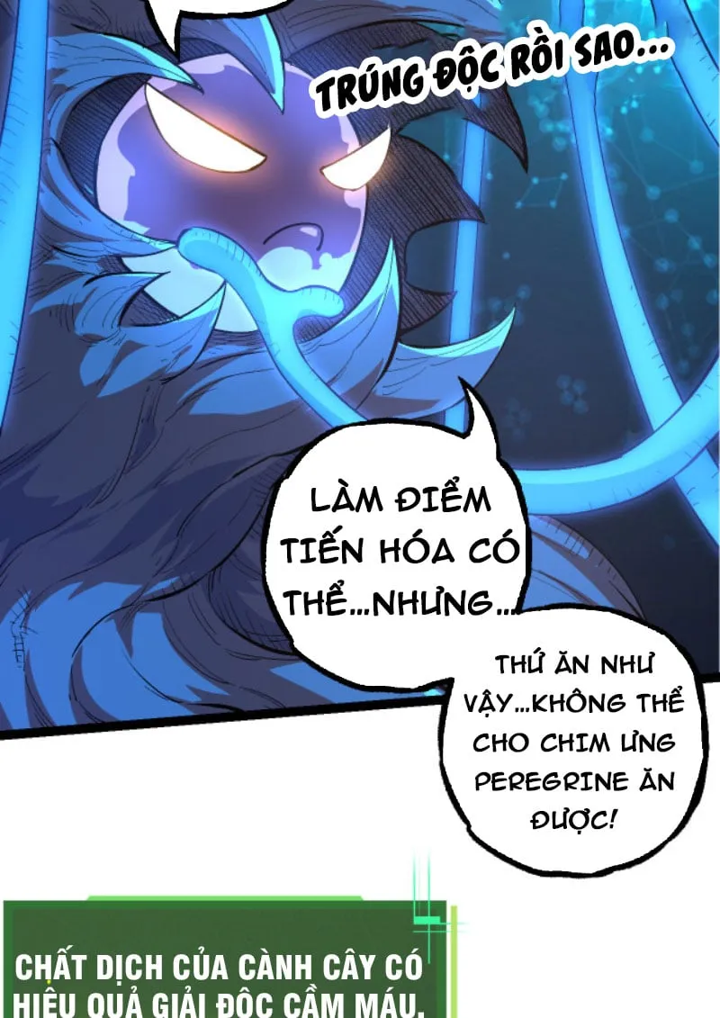 Từ Cây Cổ Thụ Bắt Đầu Tiến Hóa Chapter 3 - Trang 6
