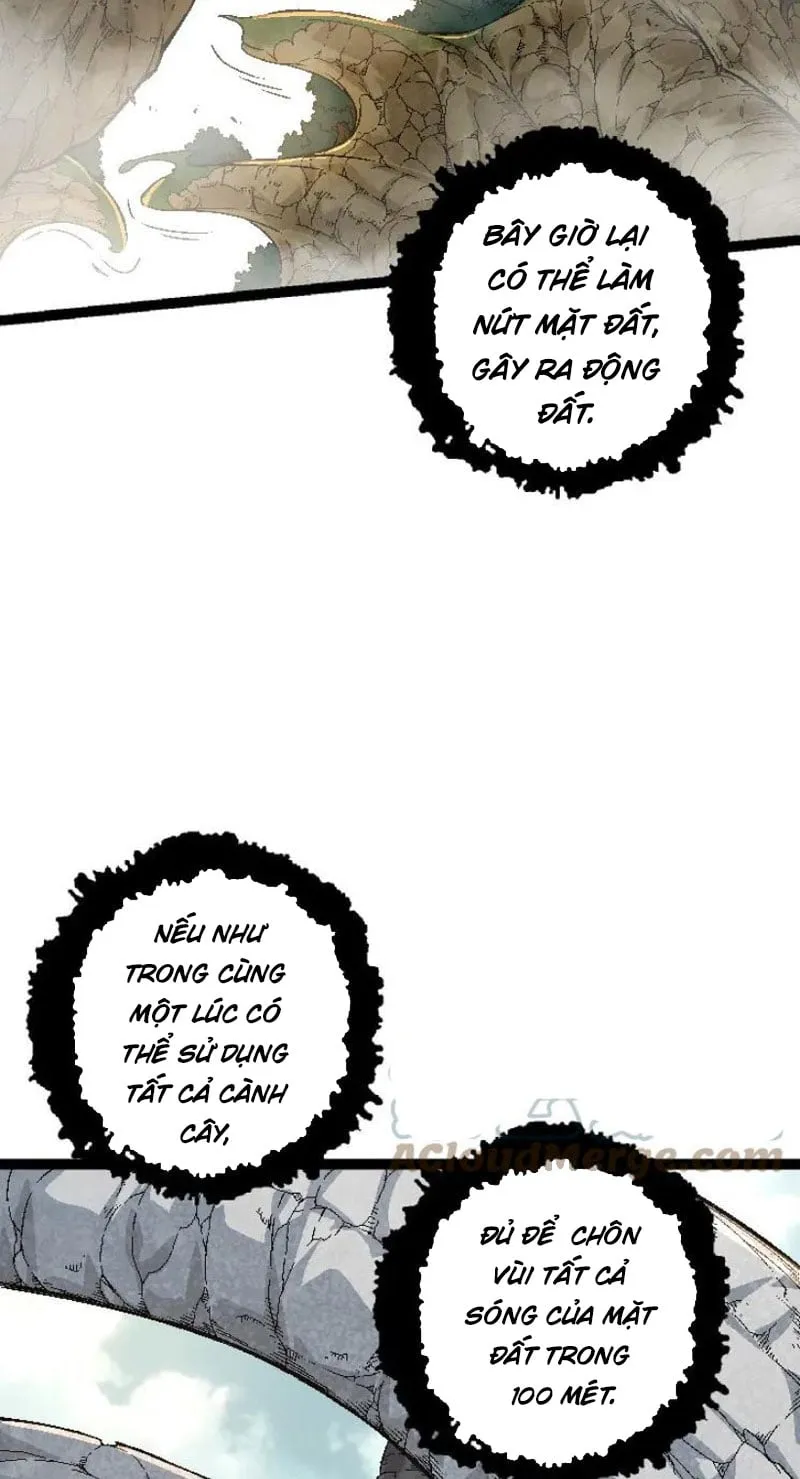 Từ Cây Cổ Thụ Bắt Đầu Tiến Hóa Chapter 31 - Trang 29