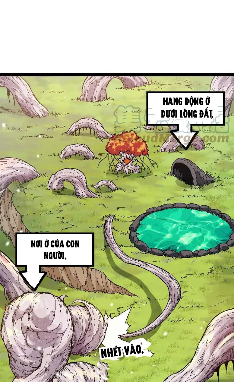 Từ Cây Cổ Thụ Bắt Đầu Tiến Hóa Chapter 31 - Trang 4