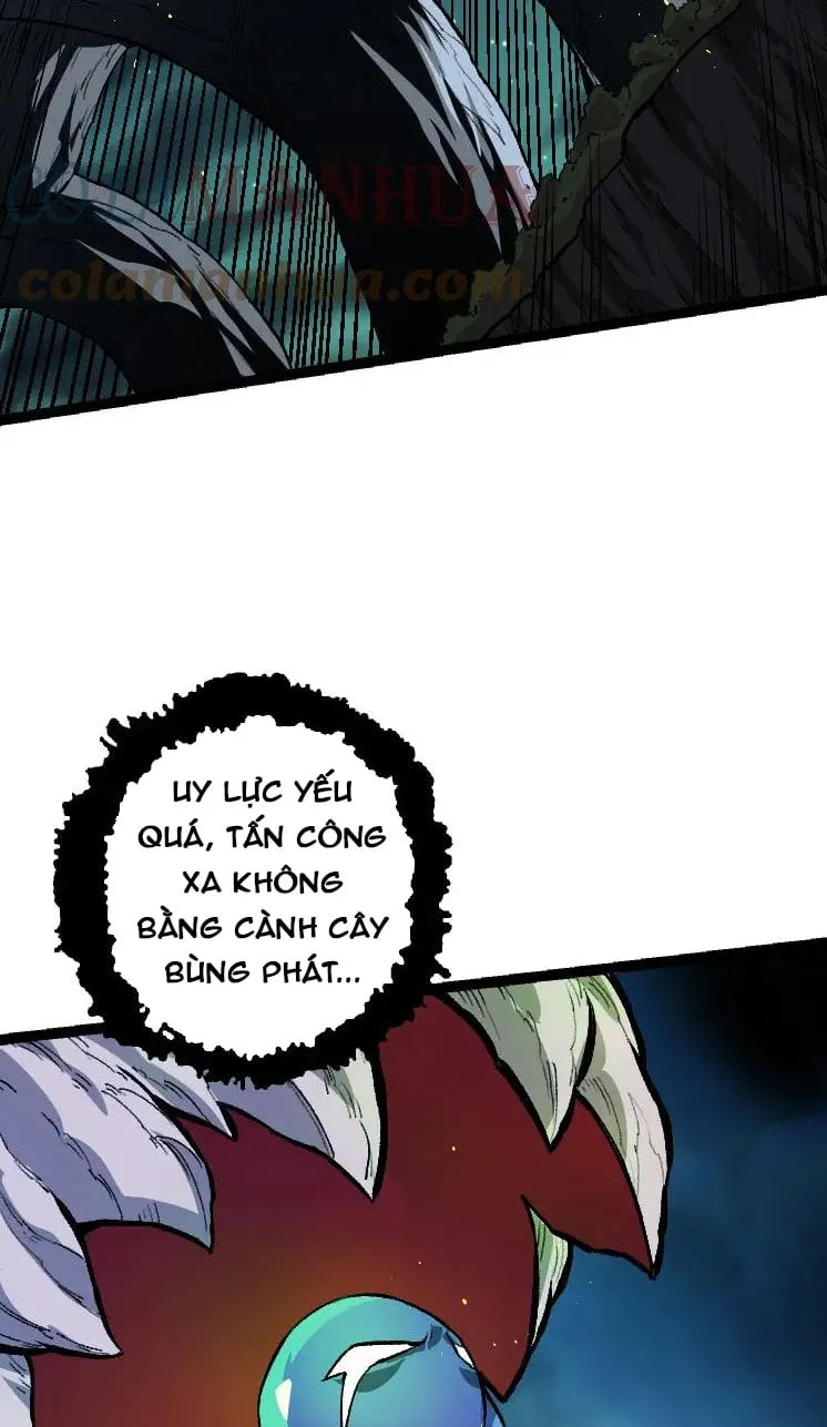 Từ Cây Cổ Thụ Bắt Đầu Tiến Hóa Chapter 35 - Trang 13