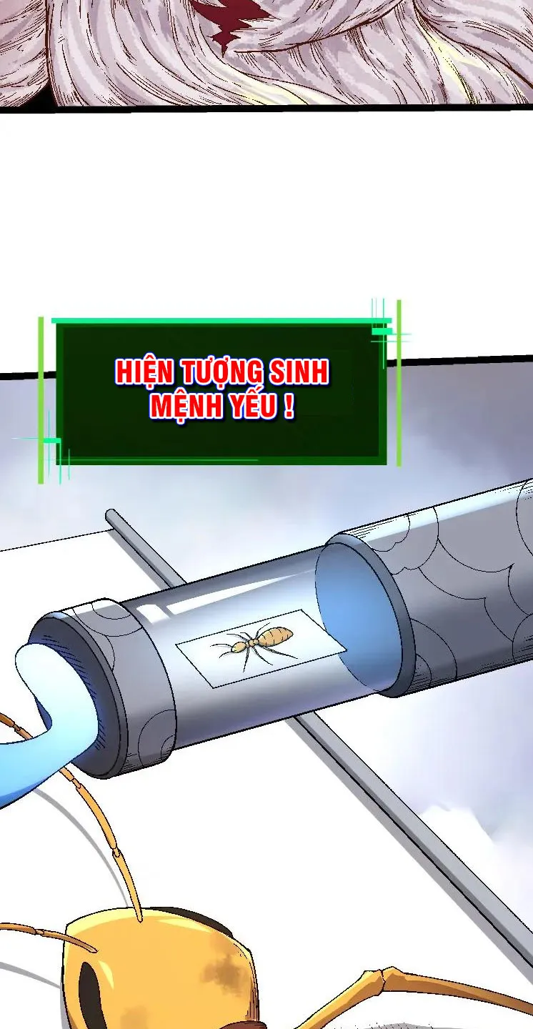 Từ Cây Cổ Thụ Bắt Đầu Tiến Hóa Chapter 36 - Trang 29