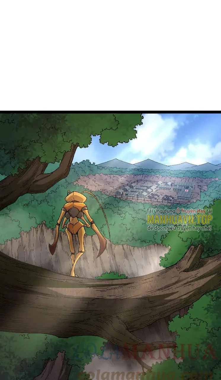Từ Cây Cổ Thụ Bắt Đầu Tiến Hóa Chapter 39 - Trang 5