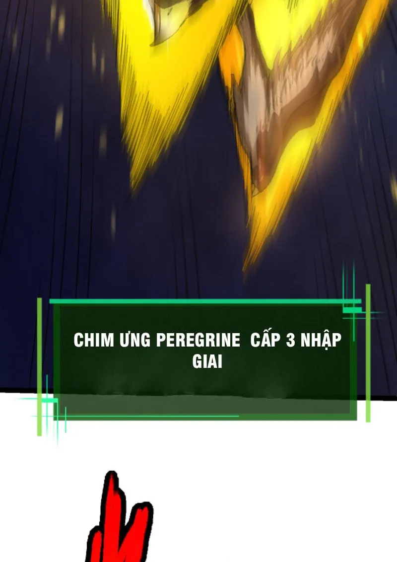 Từ Cây Cổ Thụ Bắt Đầu Tiến Hóa Chapter 4 - Trang 23
