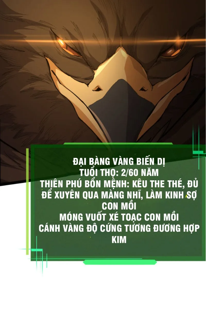 Từ Cây Cổ Thụ Bắt Đầu Tiến Hóa Chapter 4 - Trang 28