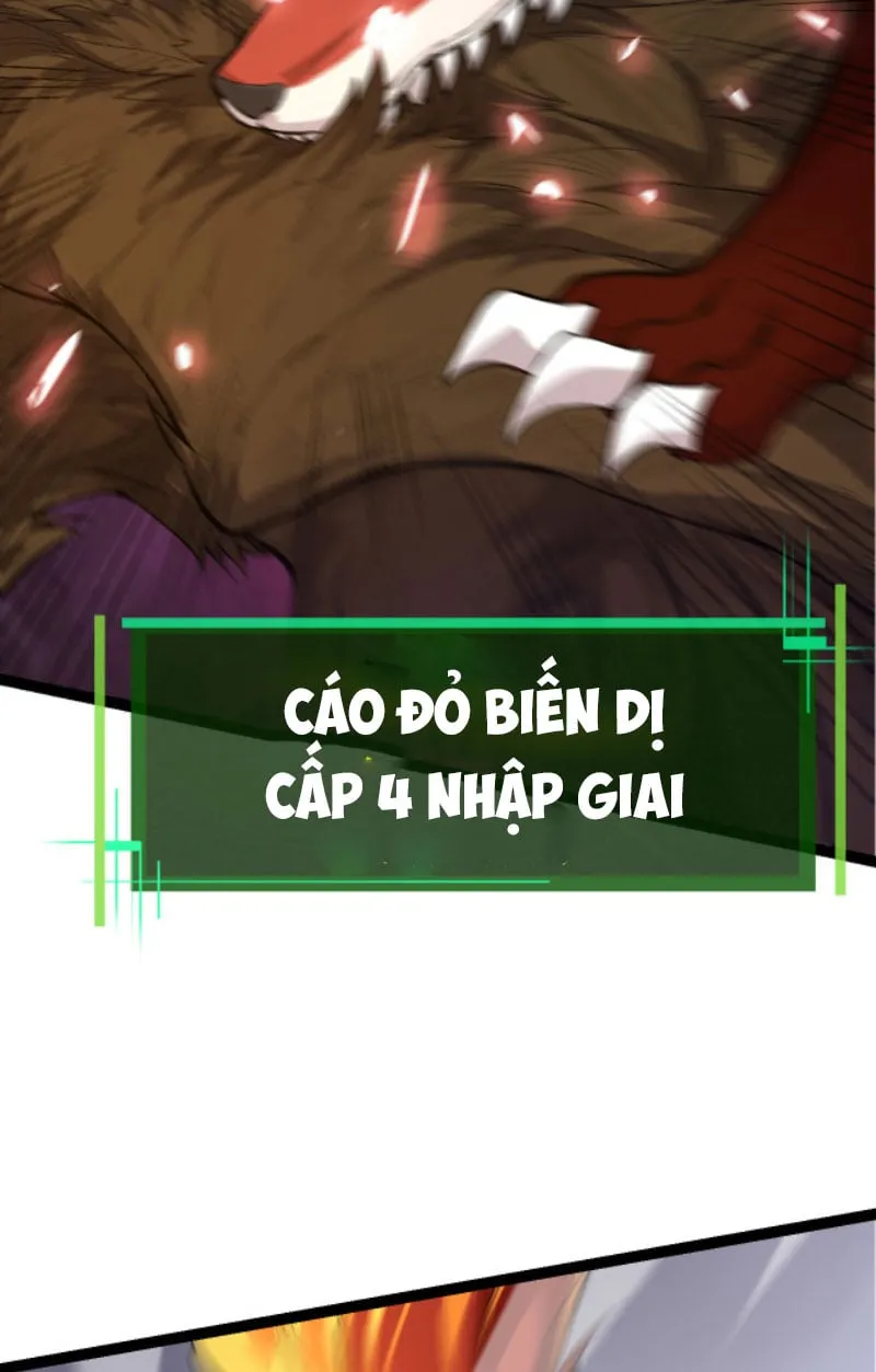 Từ Cây Cổ Thụ Bắt Đầu Tiến Hóa Chapter 4 - Trang 33
