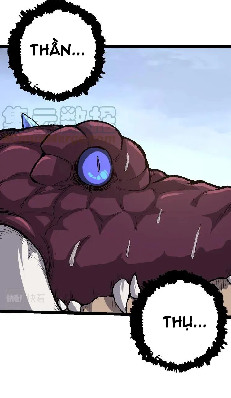 Từ Cây Cổ Thụ Bắt Đầu Tiến Hóa Chapter 40 - Trang 11